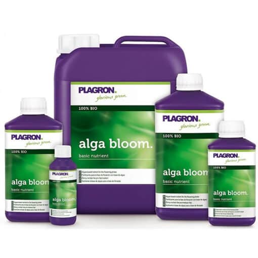 Plagron Alga Bloom