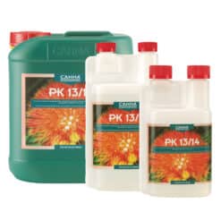 Canna PK 13/14