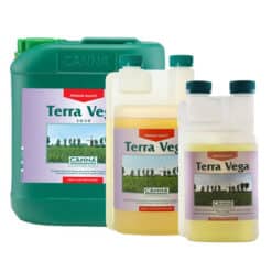 Canna Terra Vega