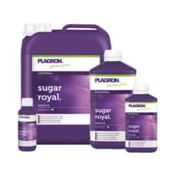 Plagron Sugar Royal
