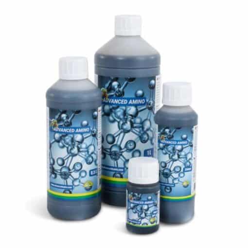 Advanced Amino