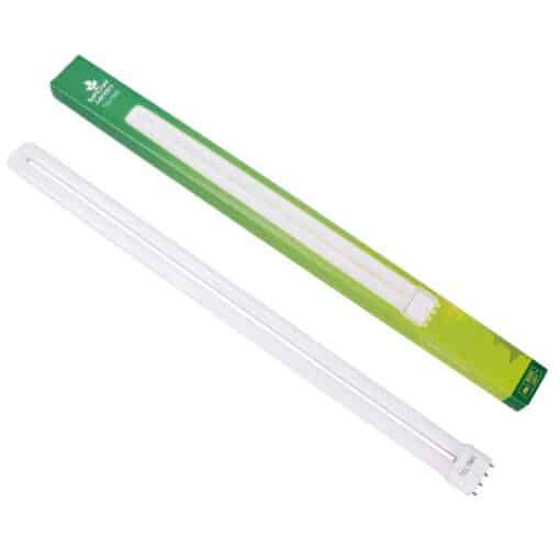 Neon TCL Crescita 55W