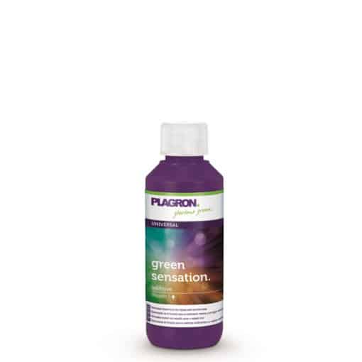 Green Sensation 100ml