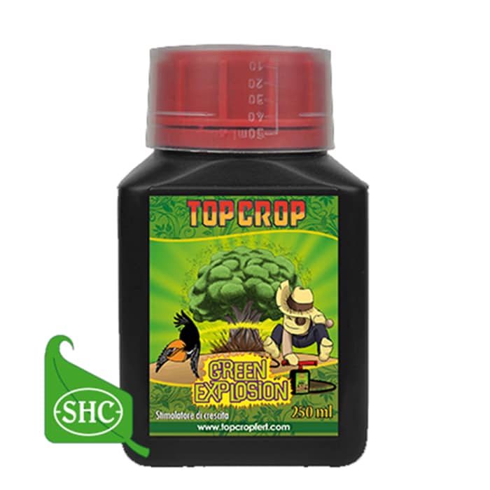 Top Crop Green Explosion