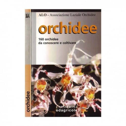 Libro Orchidee - 160 orchidee da conoscere e coltivare