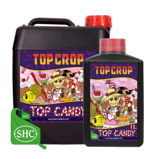Top Crop Top Candy