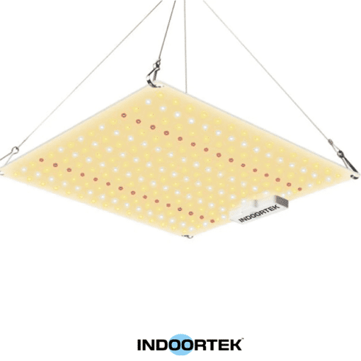 LED Quantum Board 65W - coltivazione indoor Indoortek