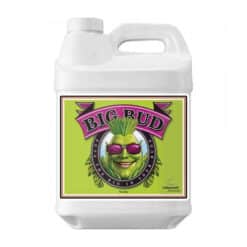 Advanced Nutrients Big Bud - 250 ml