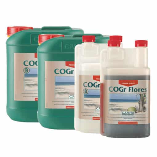 Canna COGr Flores A+B