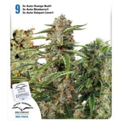 Fruity Autoflower Mix - Semi Autofiorenti