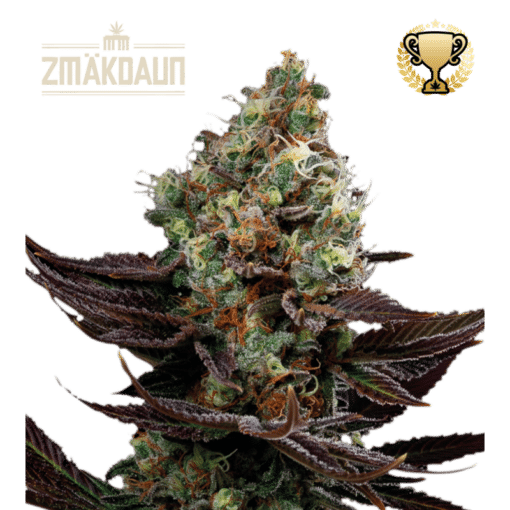 Zmäkdaun - Semi Stagionali Fotoperiodici