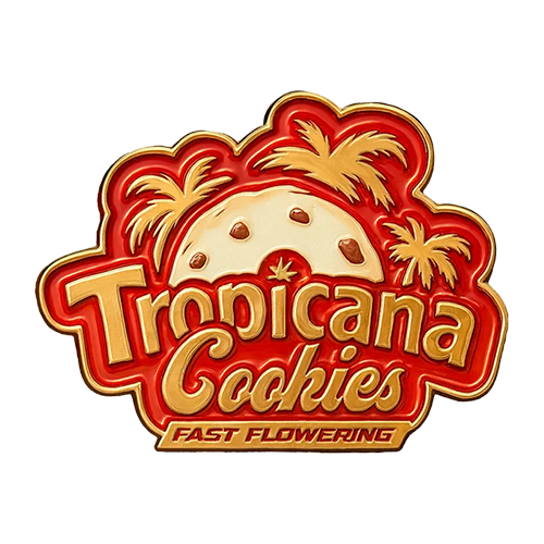 Tropicana Cookies FF - Semi Stagionali Fotoperiodici - immagine 2