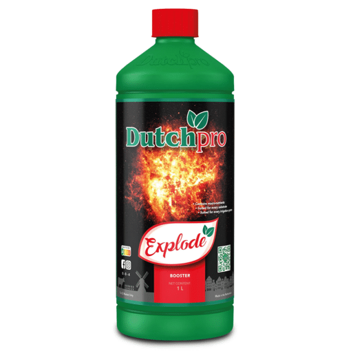 Dutchpro Explode - Booster massimizza il raccolto