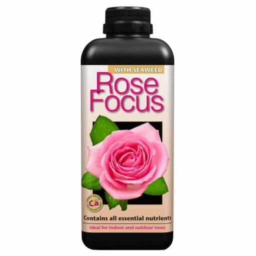 Rose Focus - Fertilizzante Rose