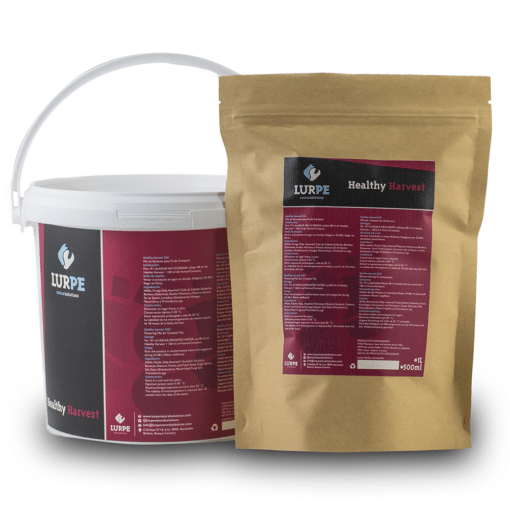 Healthy Harvest - Compost Tea per fioritura