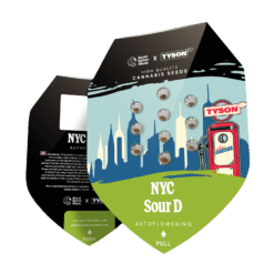 Alternative view of NYC Sour D Auto - Semi Autofiorenti