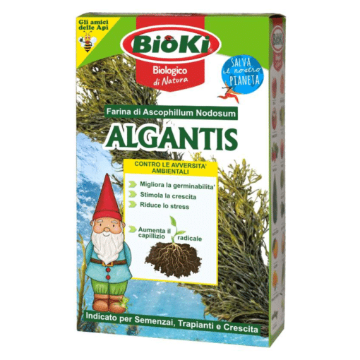 Bioki Algantis 1kg - Farina di alga per semenzai, trapianti e crescita