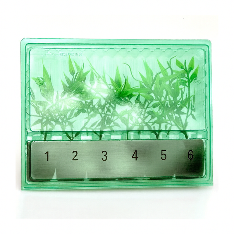 Blister Spedizione e Trasporto Talee - 6 Scomparti