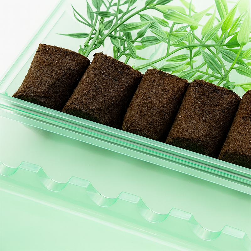 Blister Spedizione e Trasporto Talee - 6 Scomparti - immagine 2