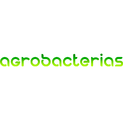 Agrobacterias