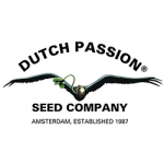 Dutch Passion Autofiorenti