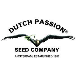Dutch Passion