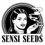 Sensi Seeds Autofiorenti
