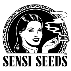 Sensi Seeds