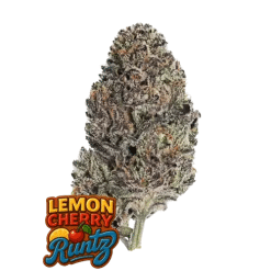 Lemon Cherry Runtz - Semi Stagionali Fotoperiodici