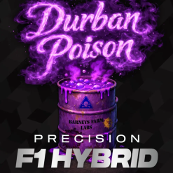 Durban Poison F1 - Semi Stagionali Fotoperiodici - immagine 2