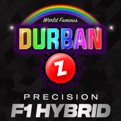 Durban Z F1 - Semi Stagionali Fotoperiodici - immagine 2