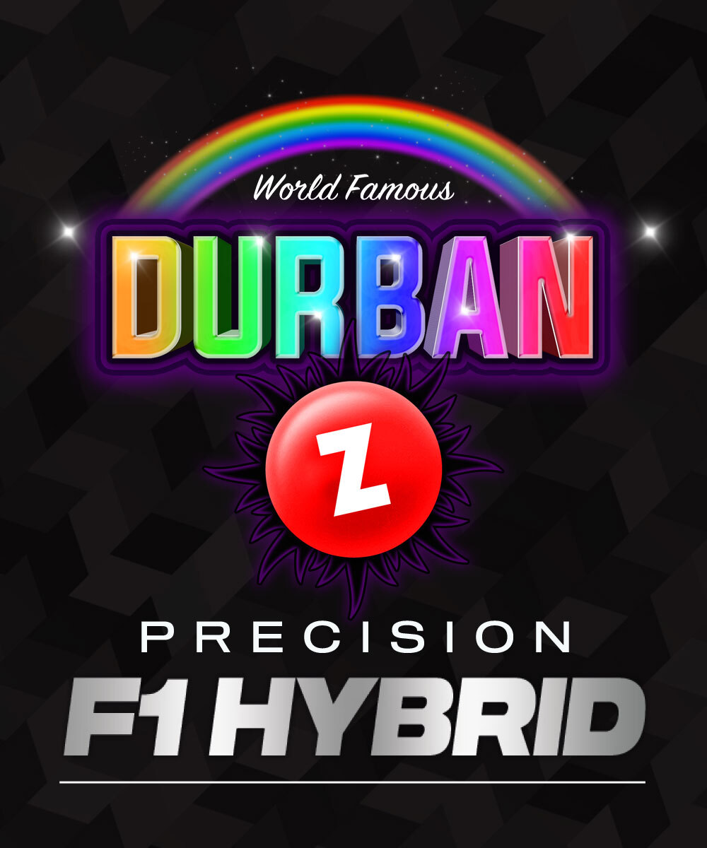Durban Z F1 - Semi Stagionali Fotoperiodici - immagine 2