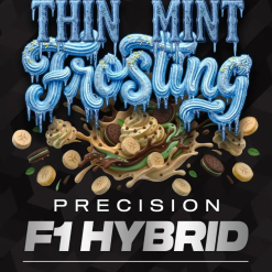 Thin Mint Frosting F1 - Semi Stagionali Fotoperiodici - immagine 2
